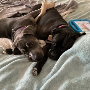 Meet your Posher, Kris